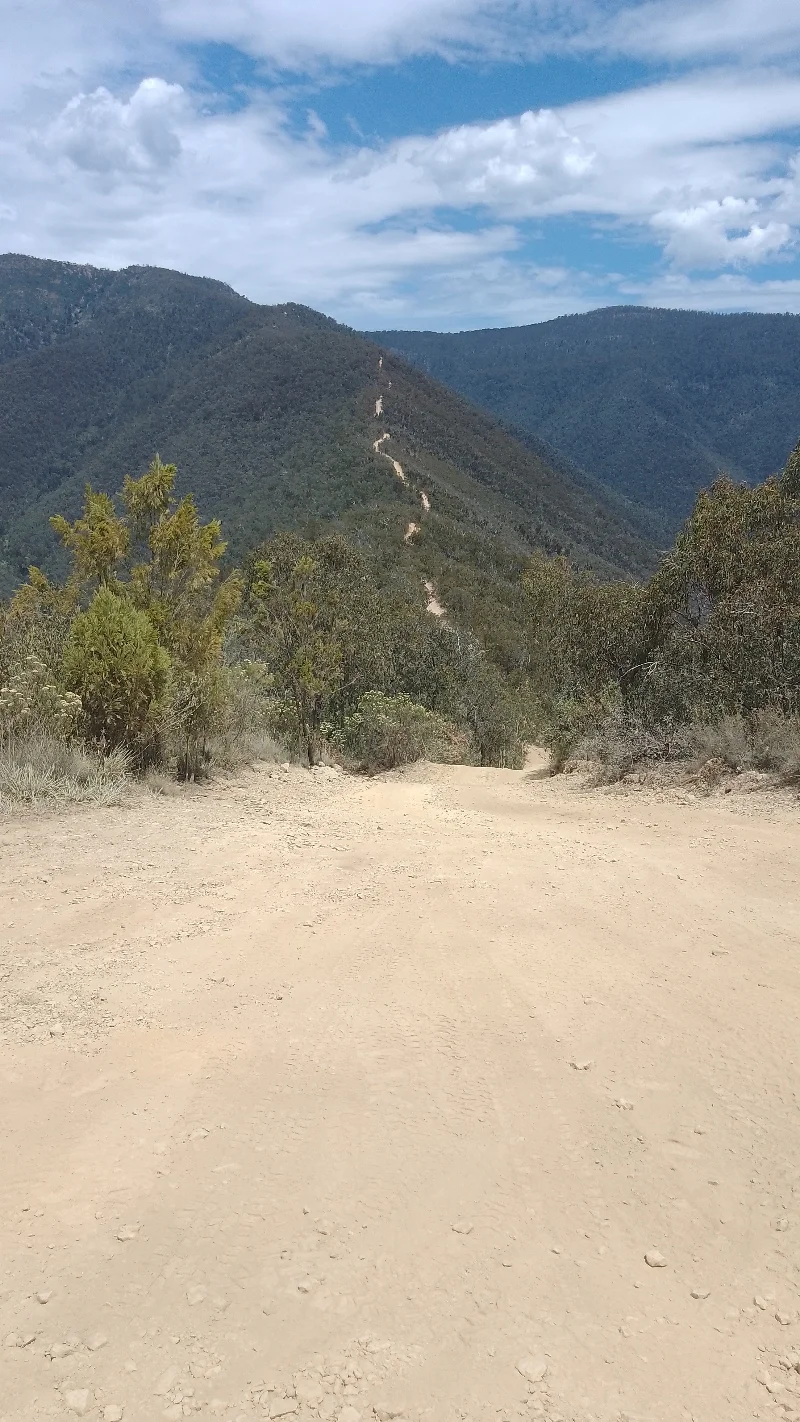 Resize_20250105_181120_0307.webp