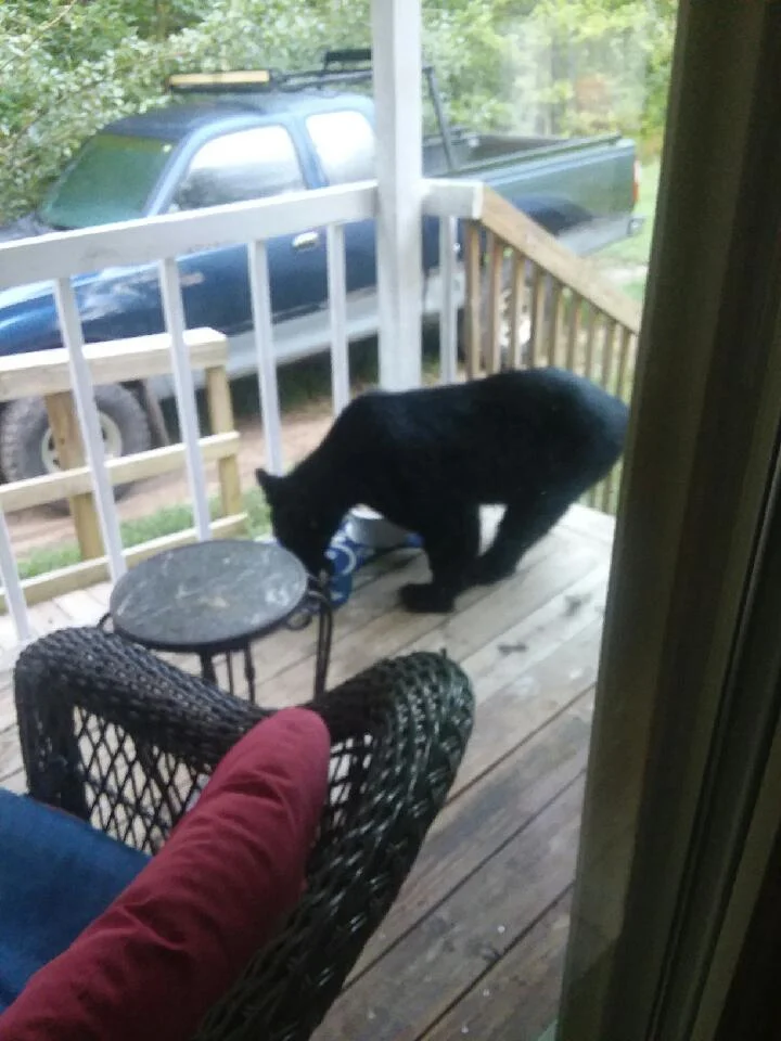 Resized_20200904_074236.webp