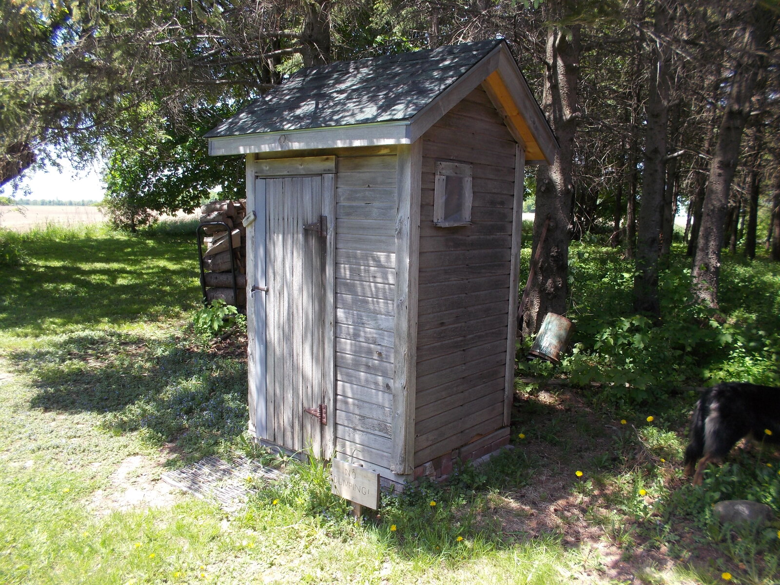 Restored outhouse 004.JPG