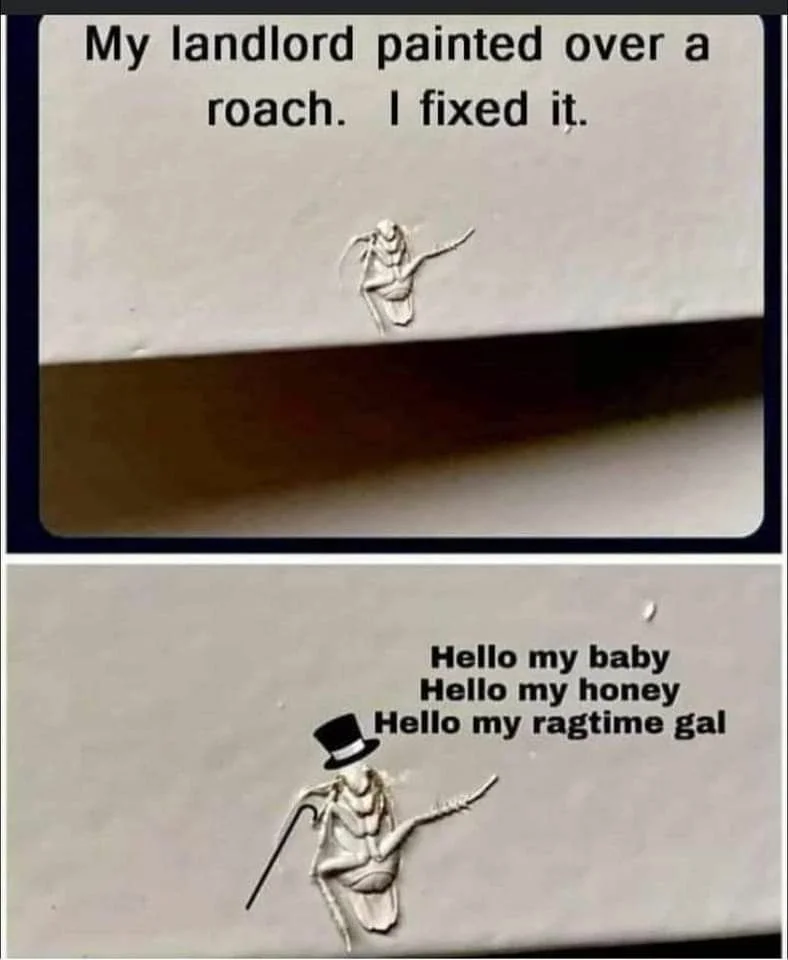 roach-fixed-webp-webp.webp