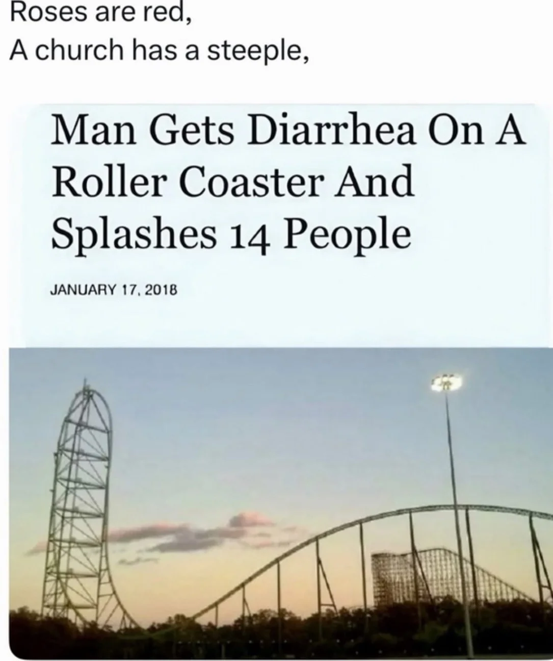 Roller Coaster.webp
