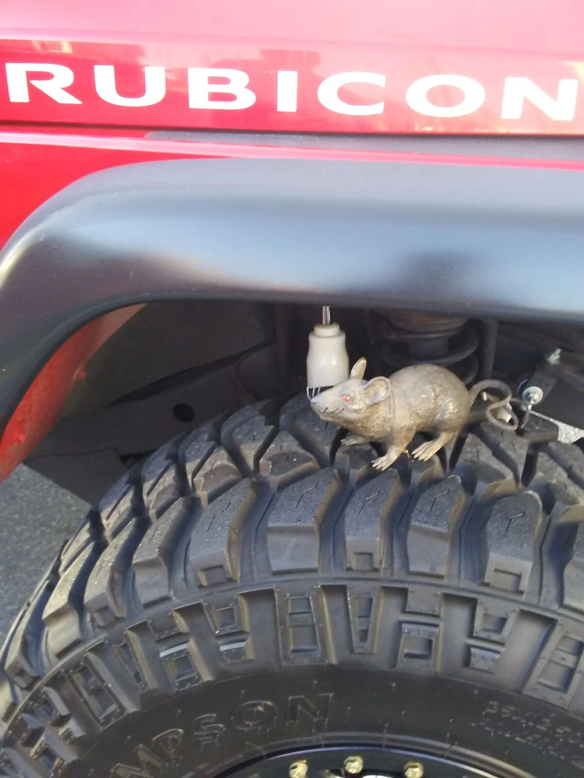 Rubi 10 4 2020.jpg