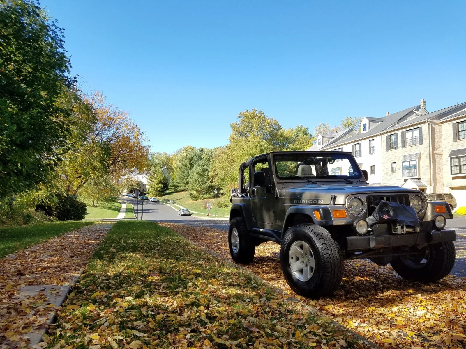 rubi-2-jpg.webp
