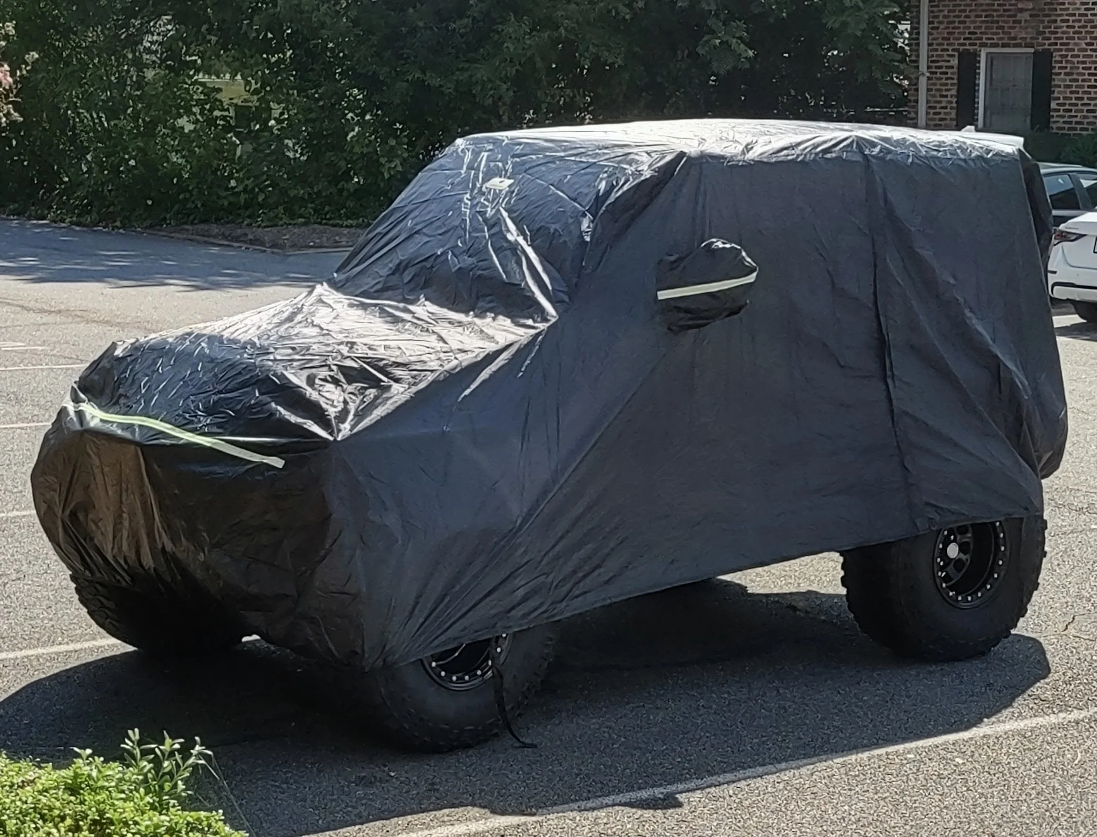 Rubi cover 2026.webp