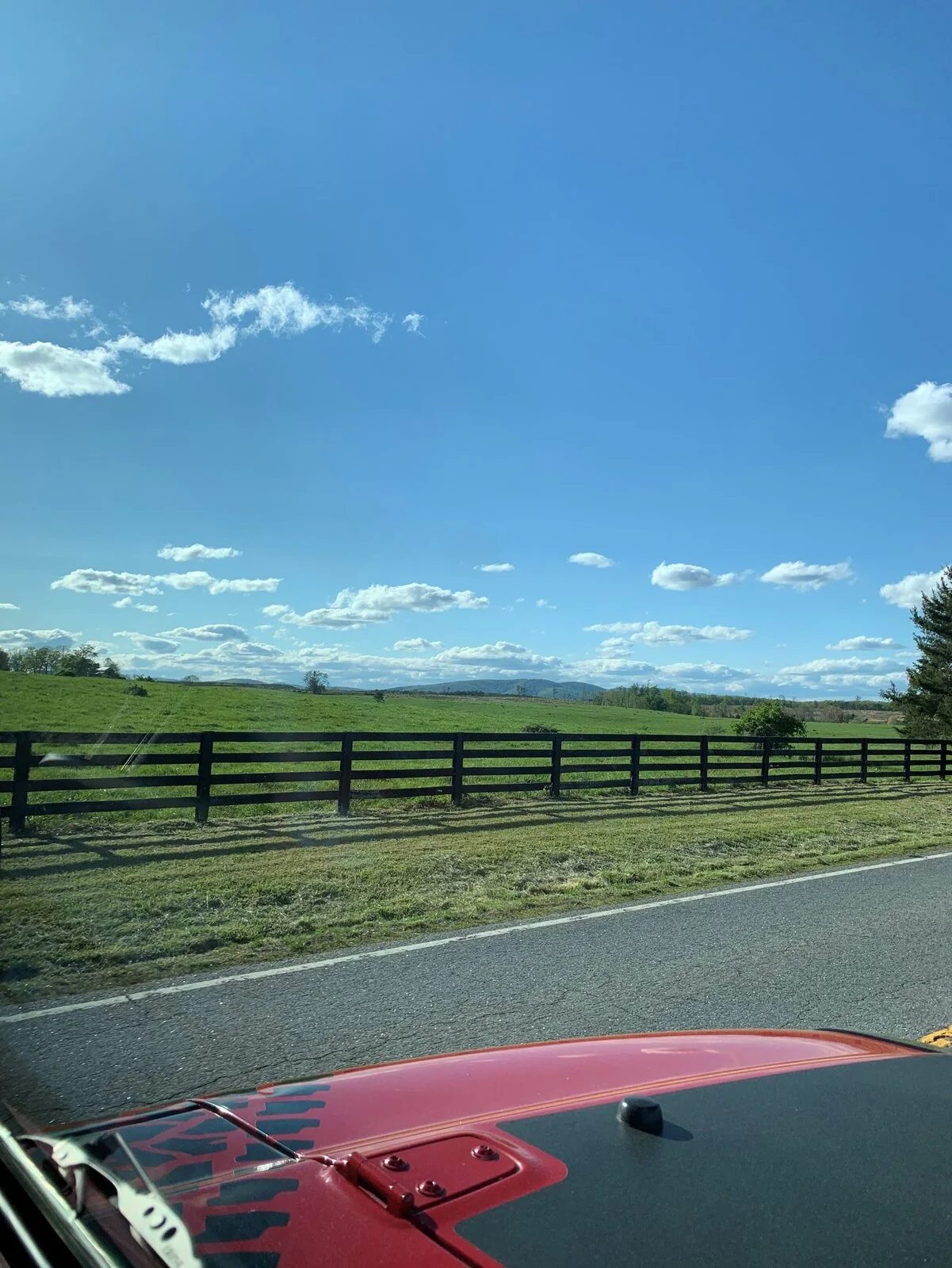 Rubi drive.webp