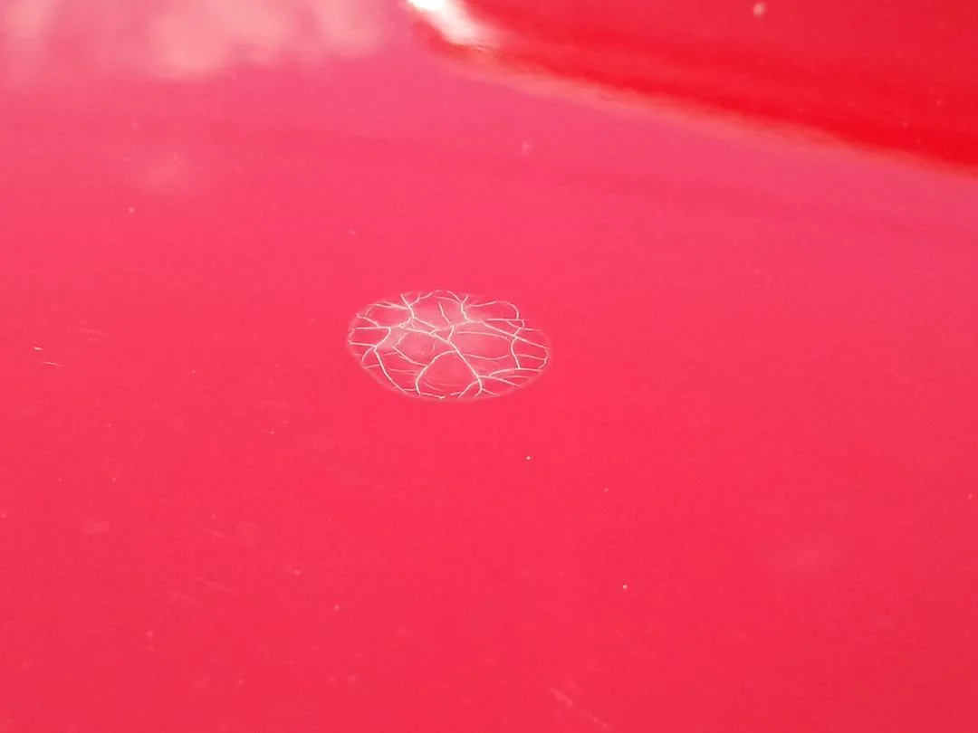 Rubi paint spots.jpg