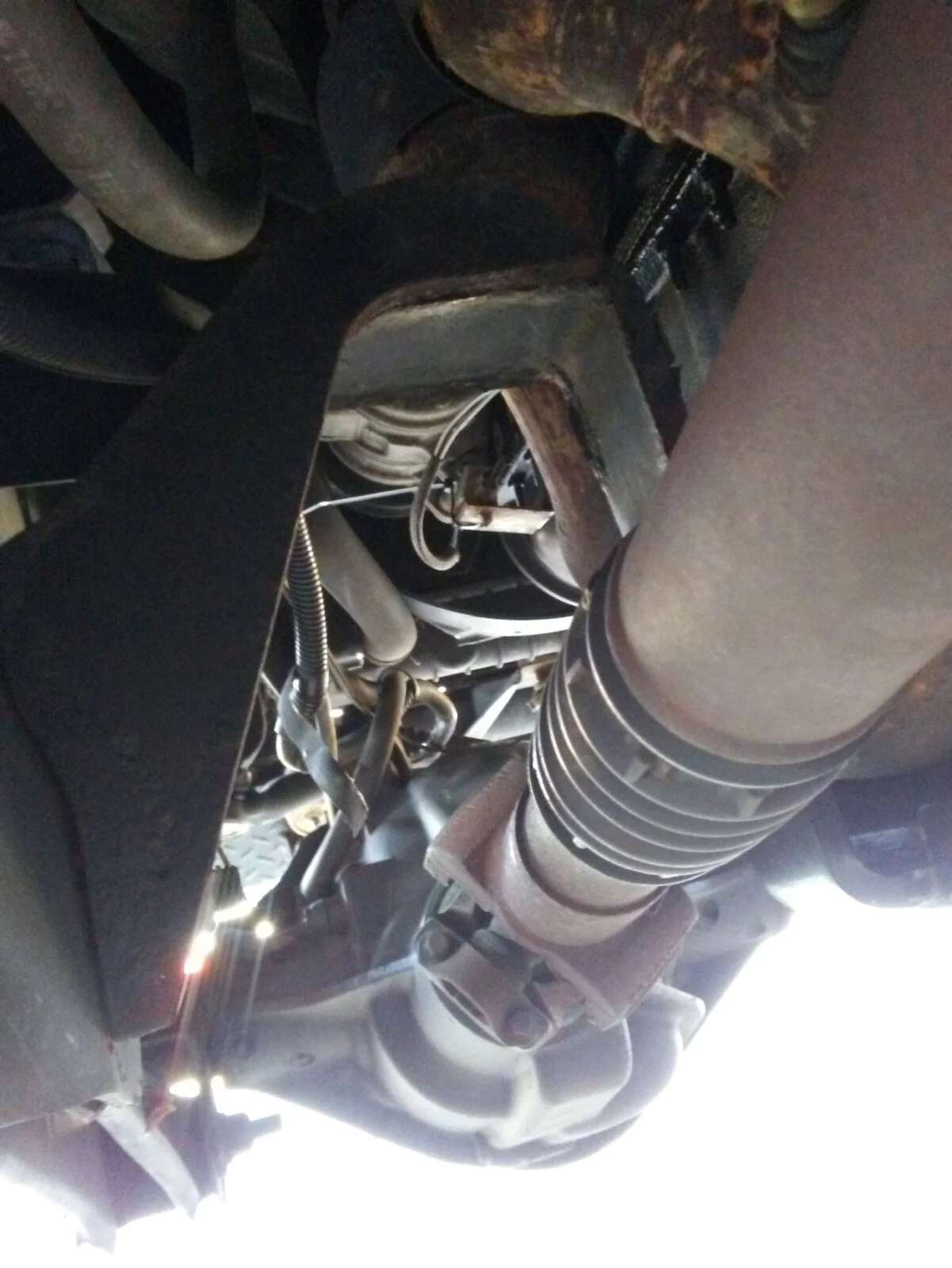 Rubi skid.jpg