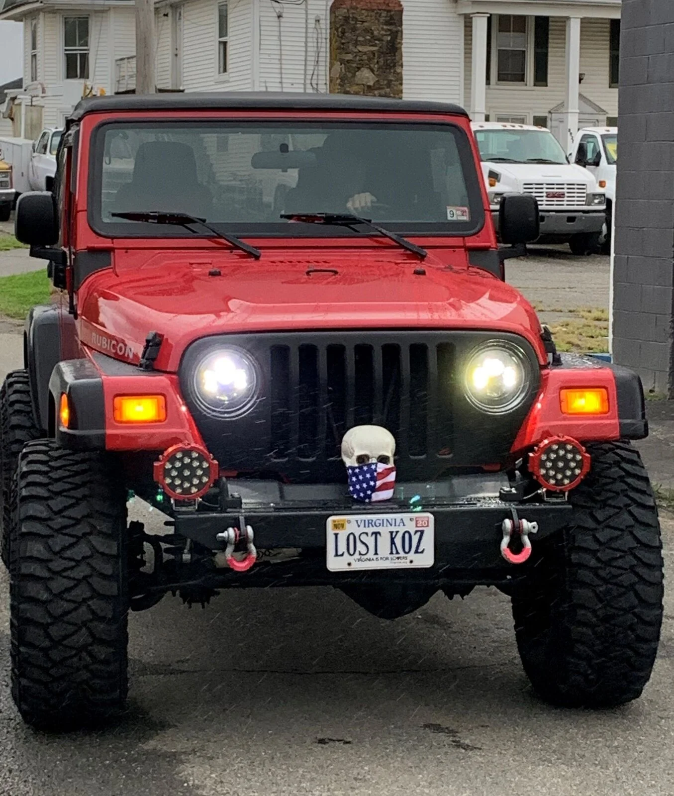 Rubi skull lights (2).webp