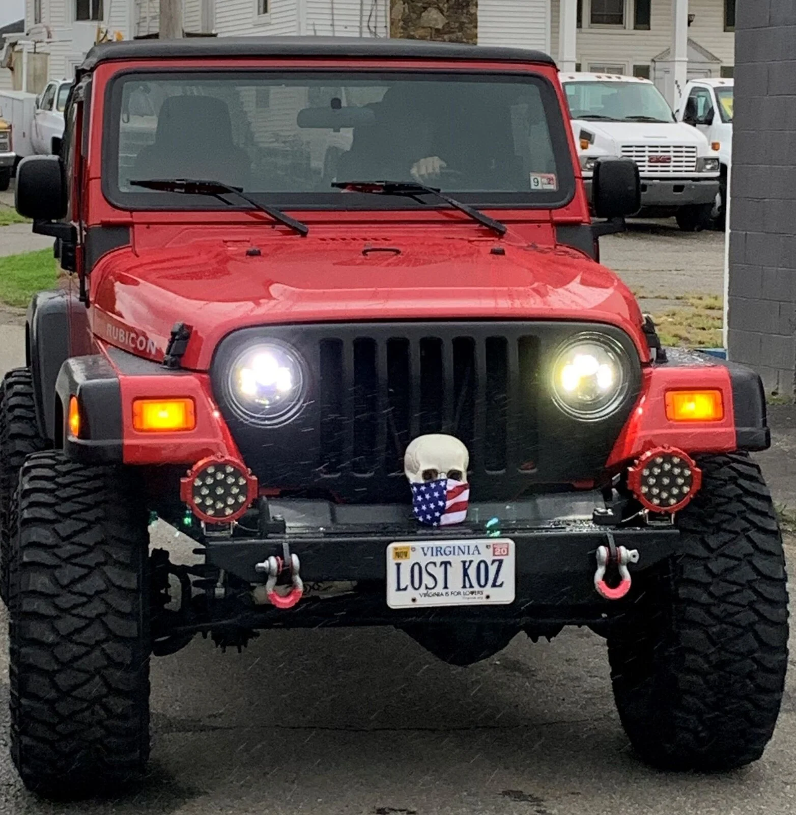 Rubi skull lights (3).jpg