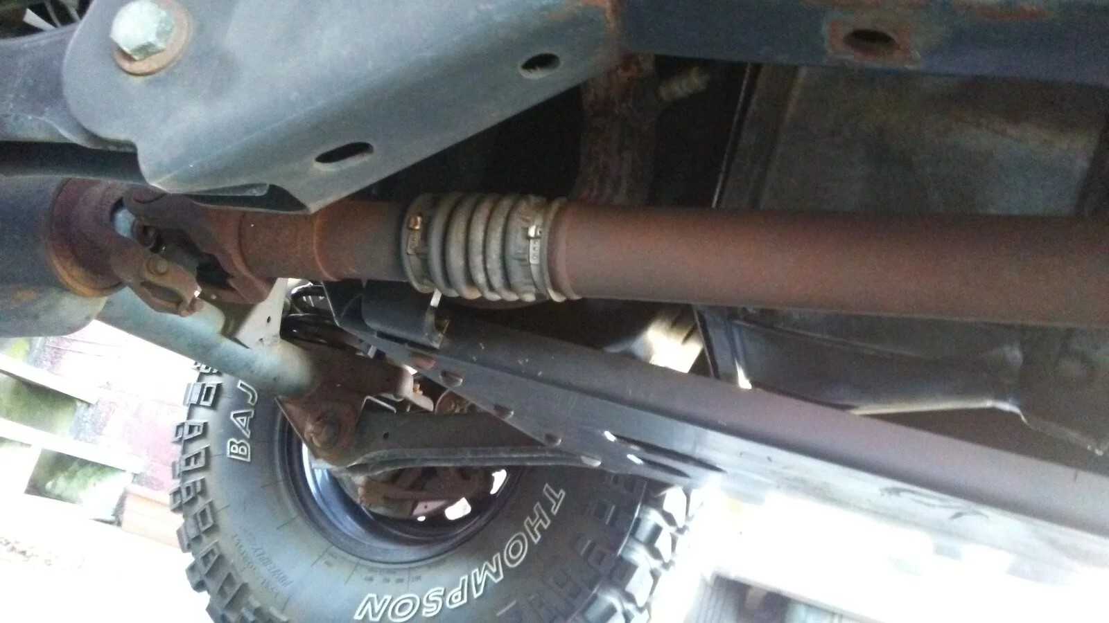 RUBI UNDER1.webp