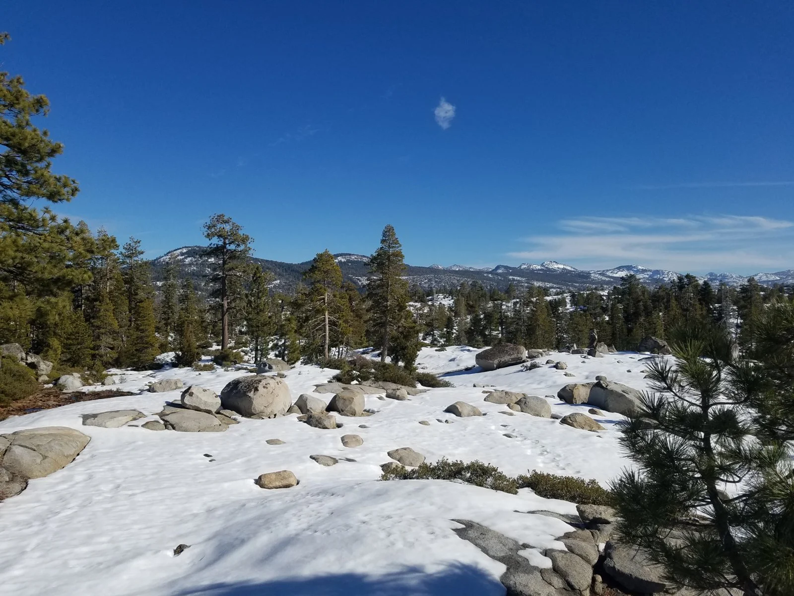 Rubicon 2-4-18 Pic 1.webp