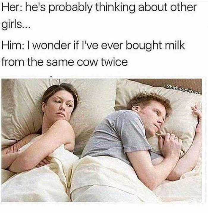 Same Cow.jpg