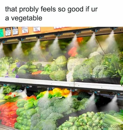 sarcastic-funny-memes-posts-2-682db63222b38__700.webp