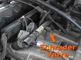 Schrader Valve.webp