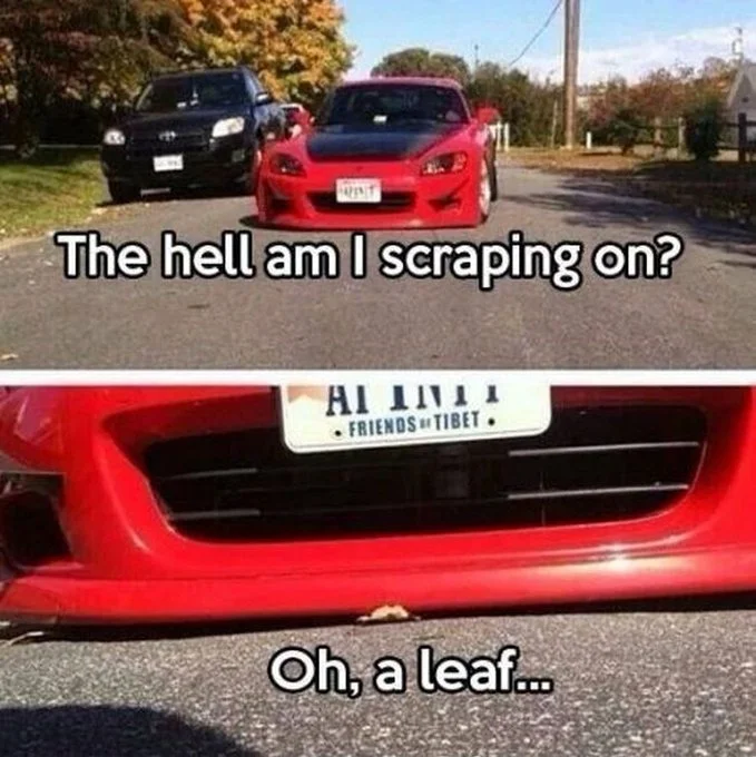 Scraping Leaf.webp
