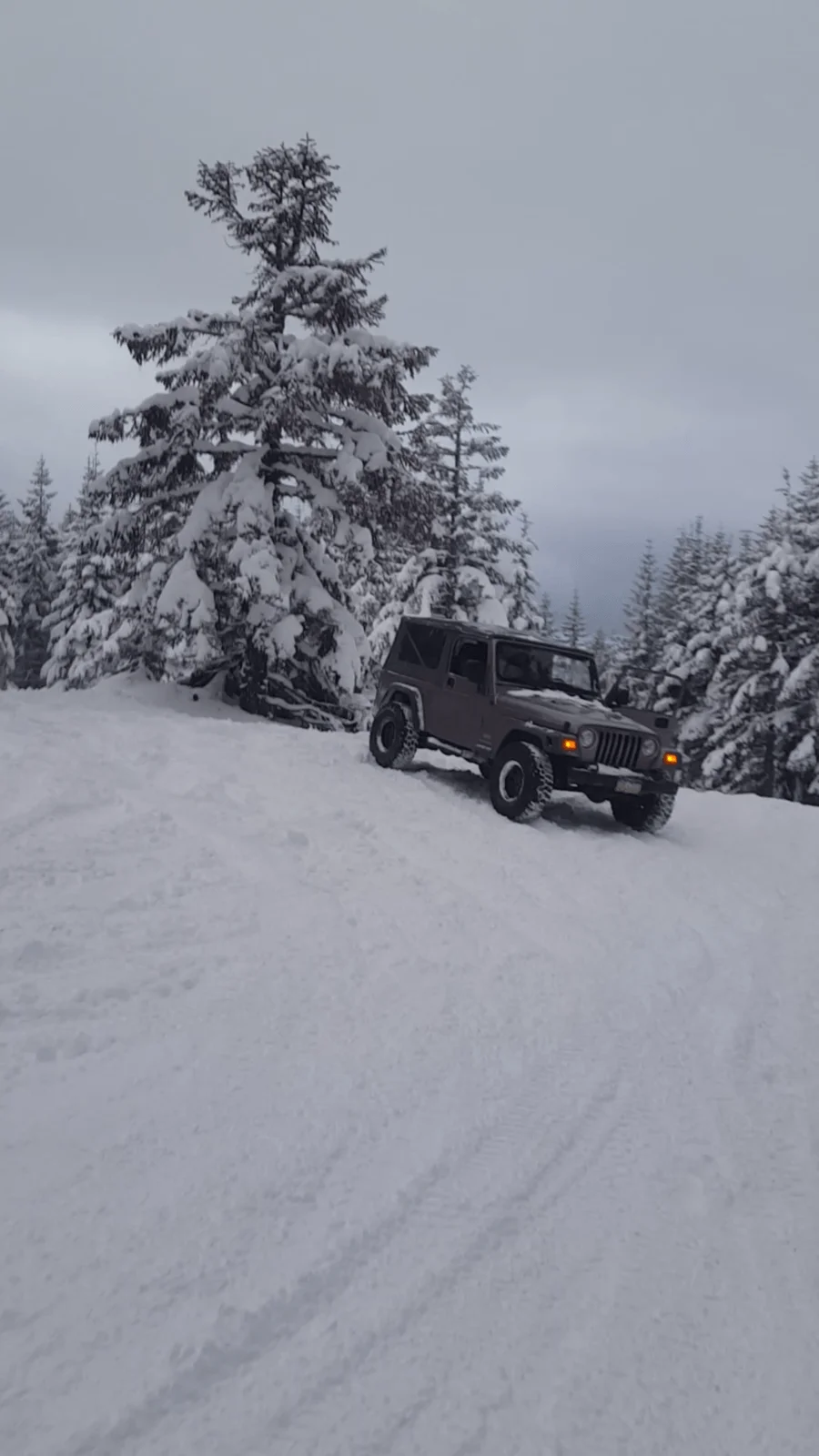 Screenshot_20190211-050018.webp