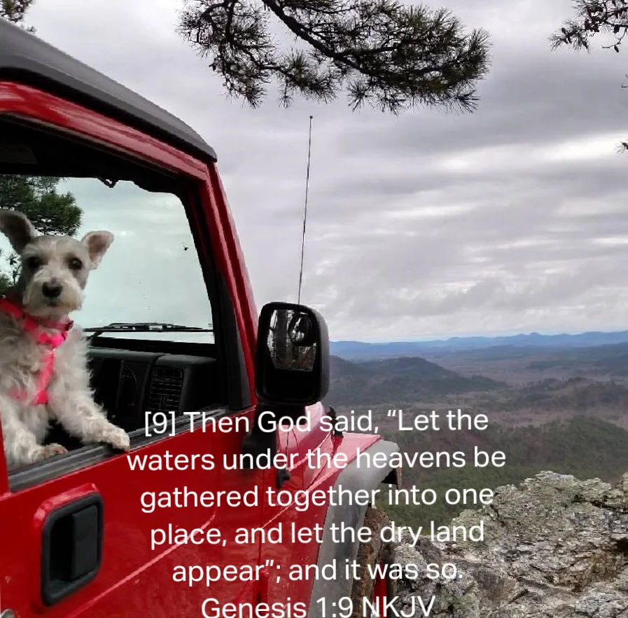 Screenshot_20240119-070333~2.webp