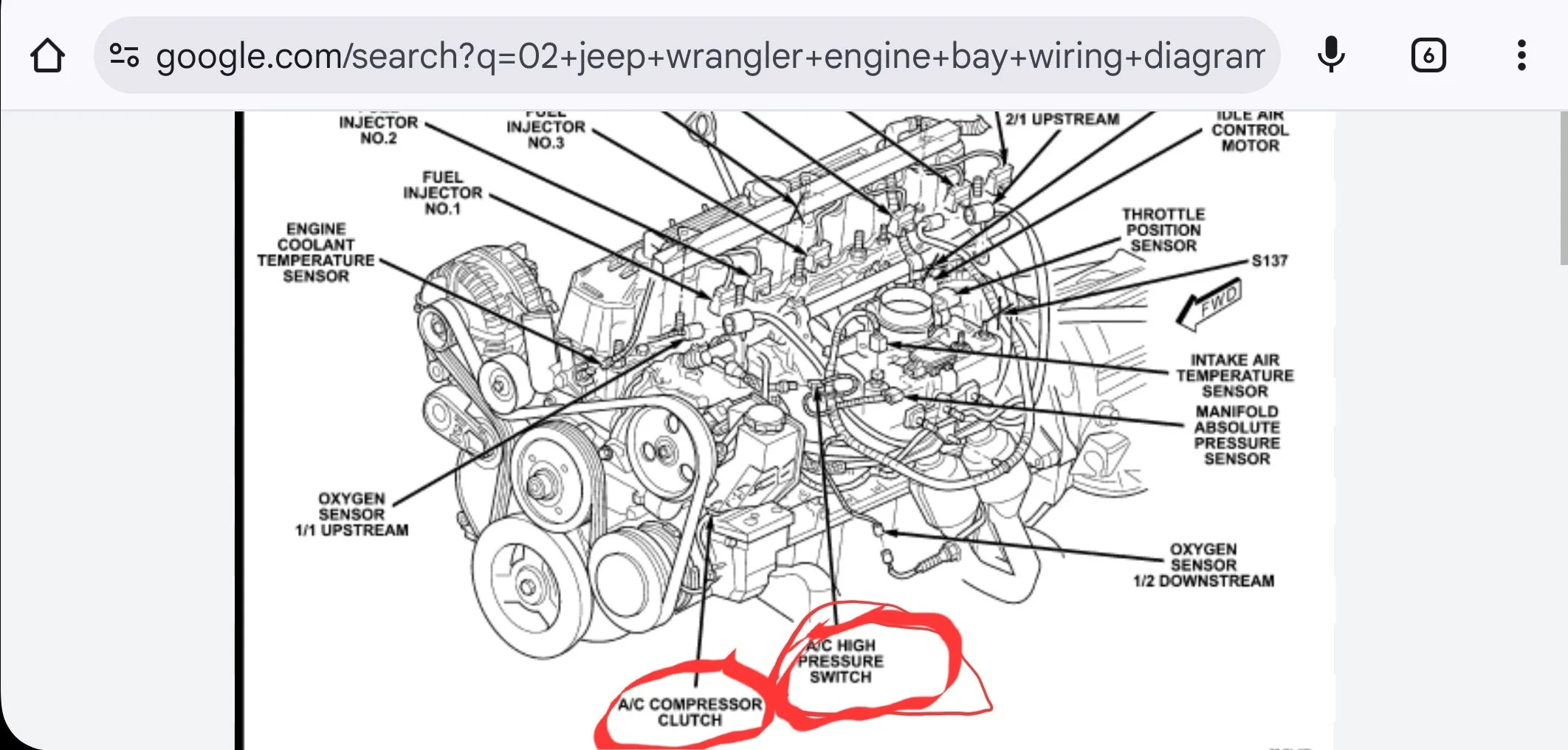 Screenshot_20250623_190242_Chrome.jpg