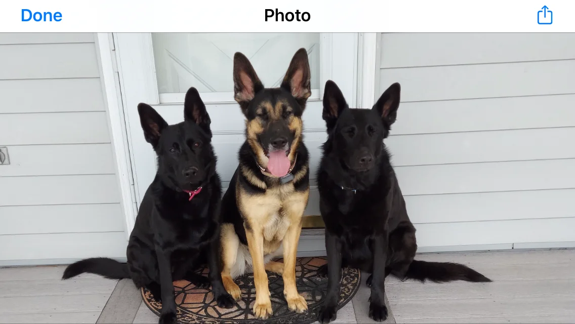 Security team.webp