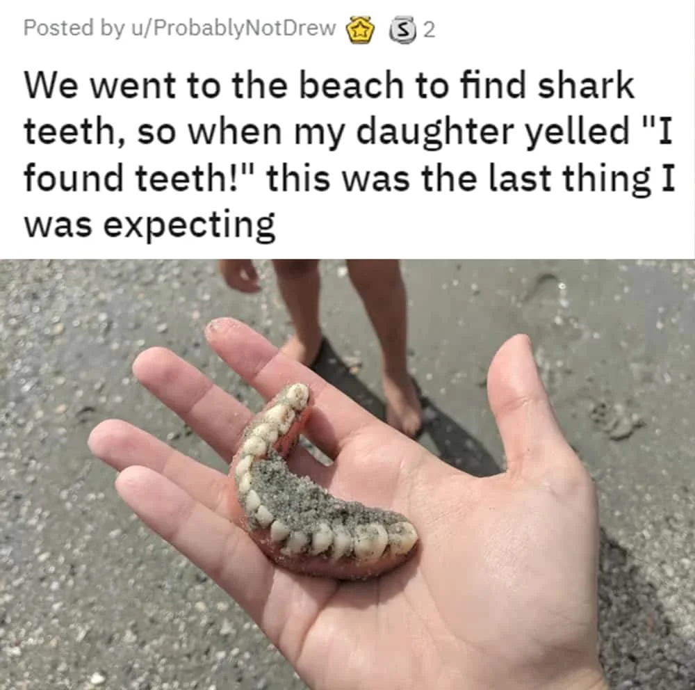 Shark Dentures.webp