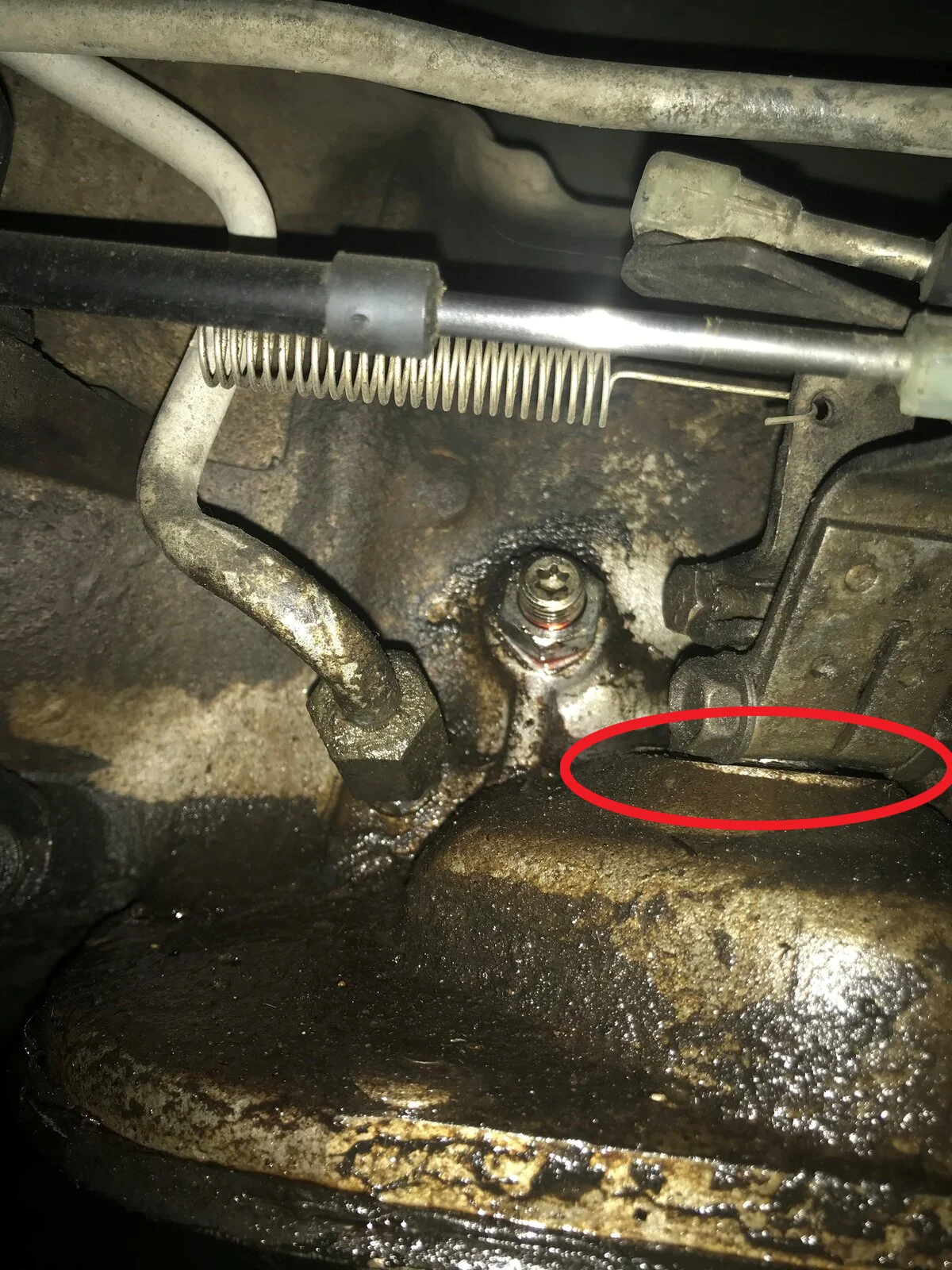 shiftshaftseal.webp