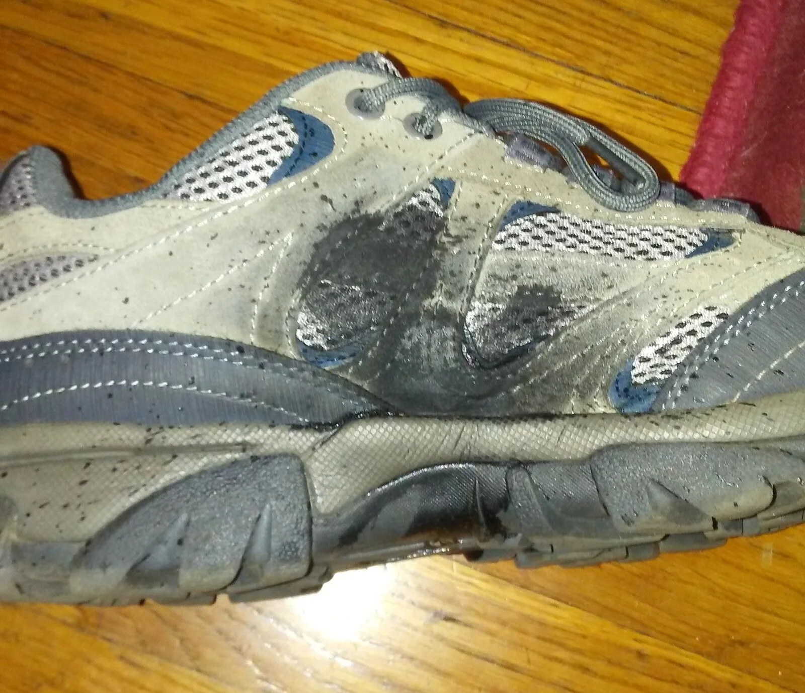 shoe.jpg