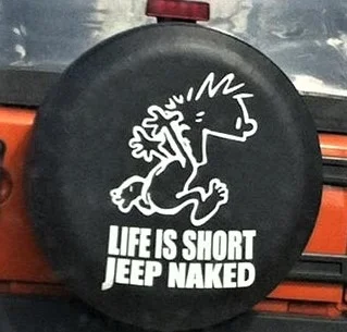 short.webp