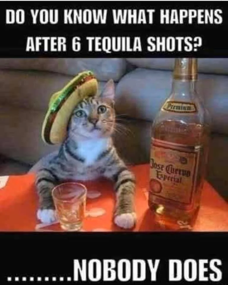 shots.webp