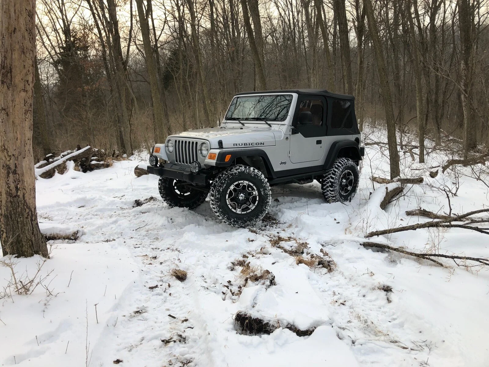 Silver Rubi Original.webp