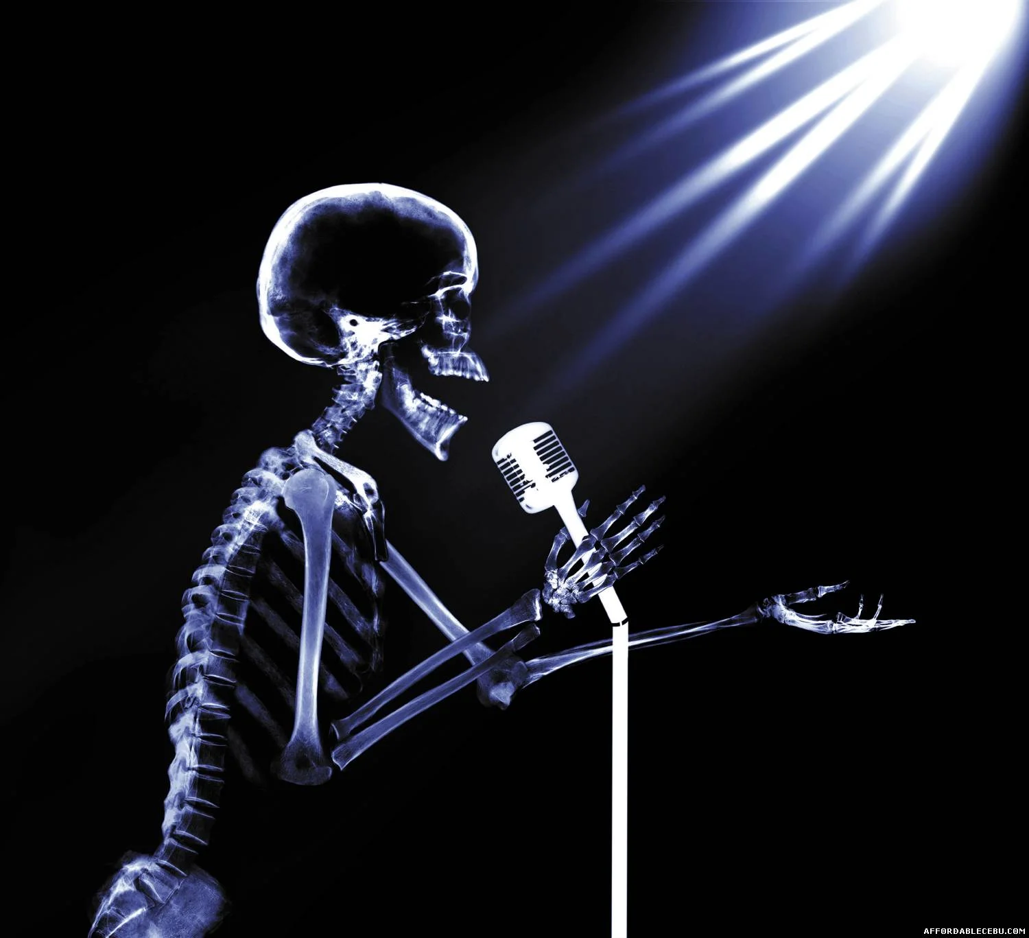 skel mic.jpg