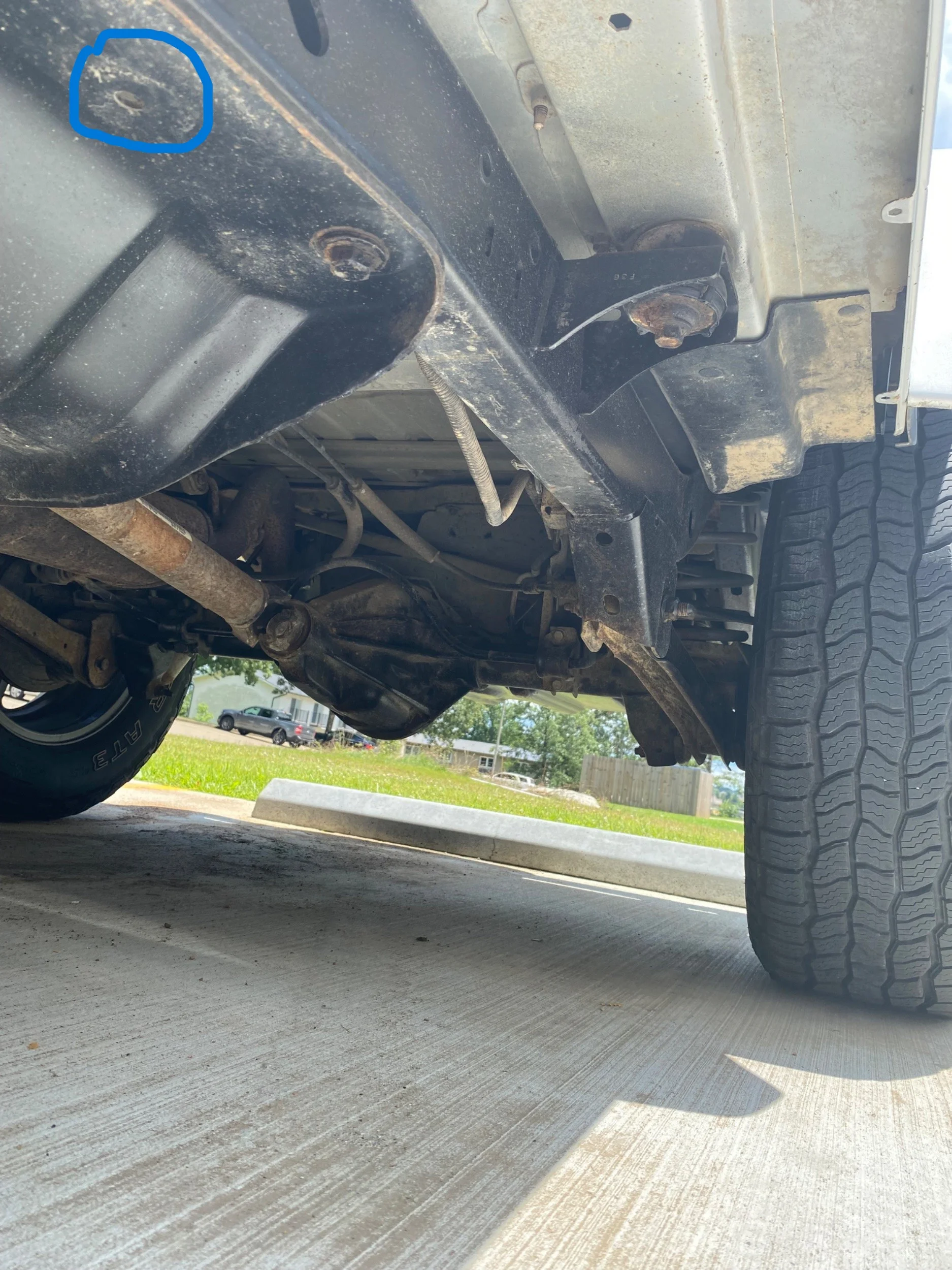 skid bolt.webp