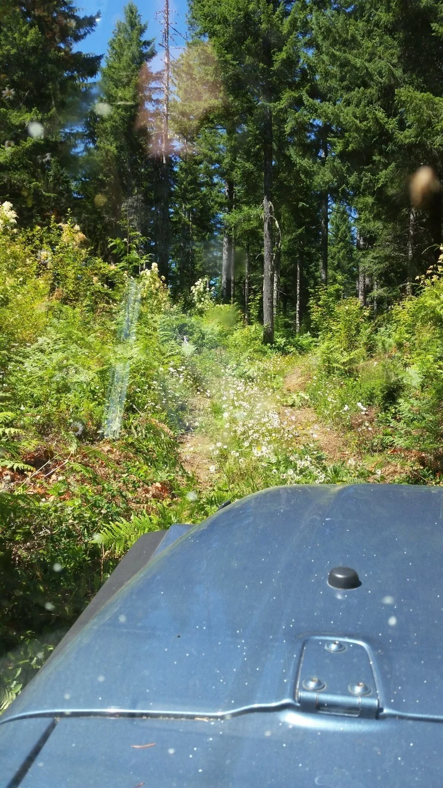 Skid Road 1.webp