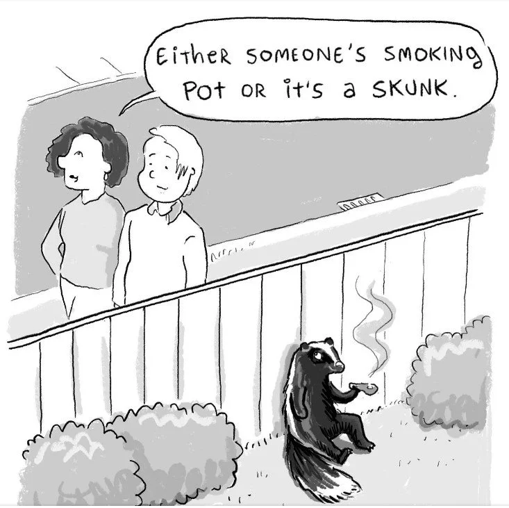 skunk.webp