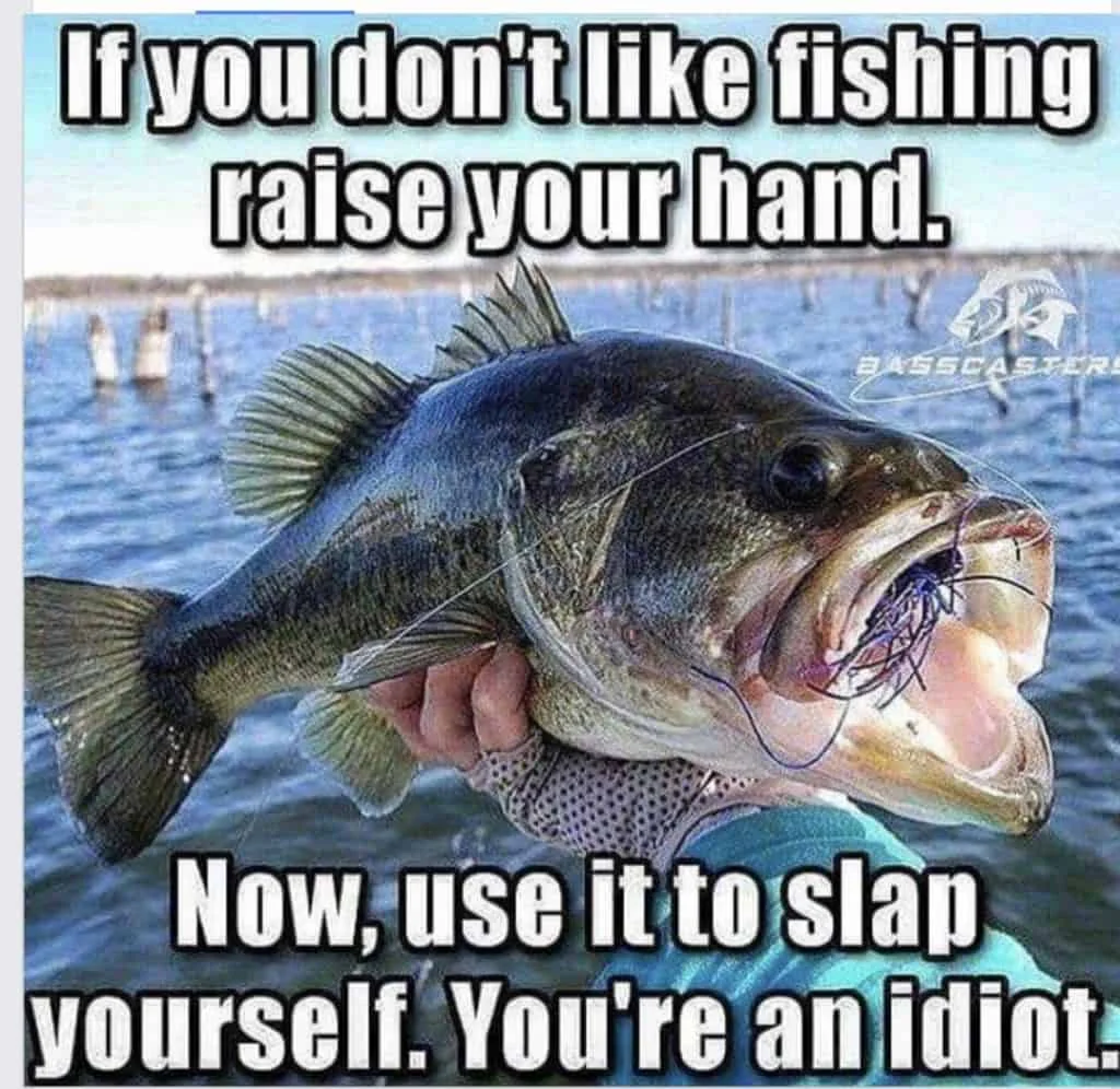slap.webp