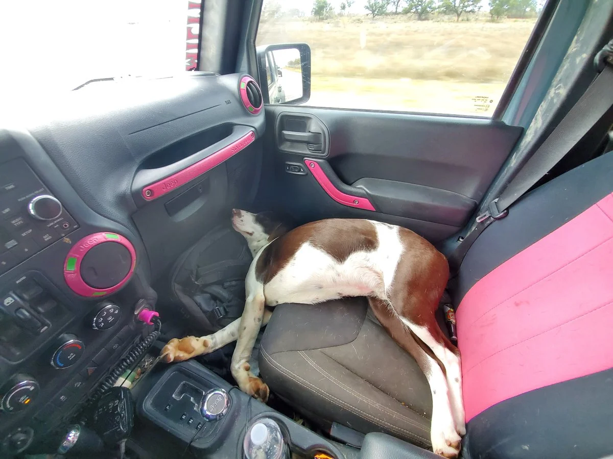 Sleeping Moab.webp