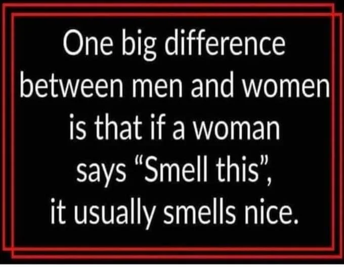 Smell This.webp