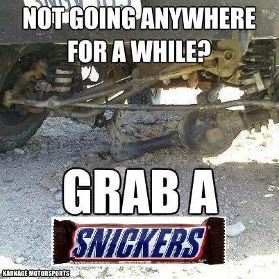 snickers (2017_11_20 00_38_12 UTC).jpg