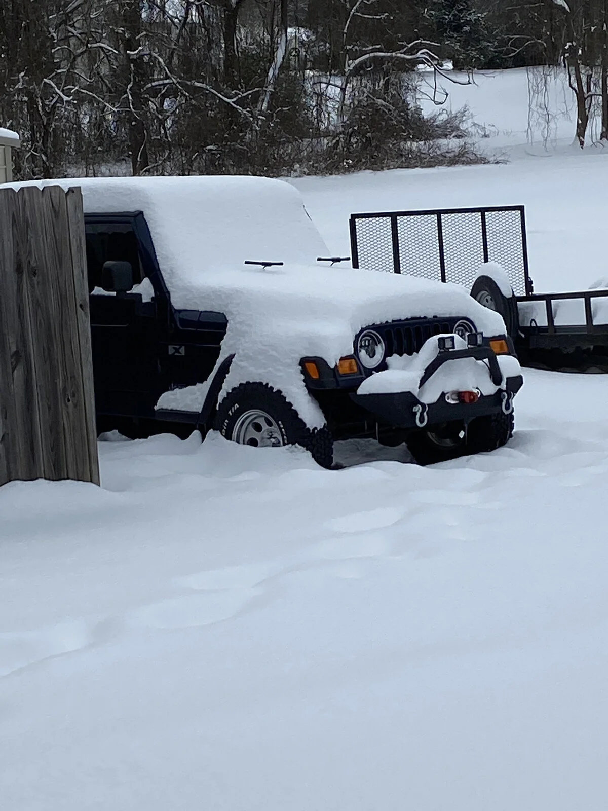 Snow.webp