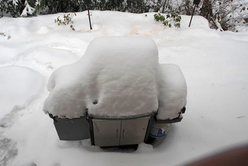 snow1w.webp