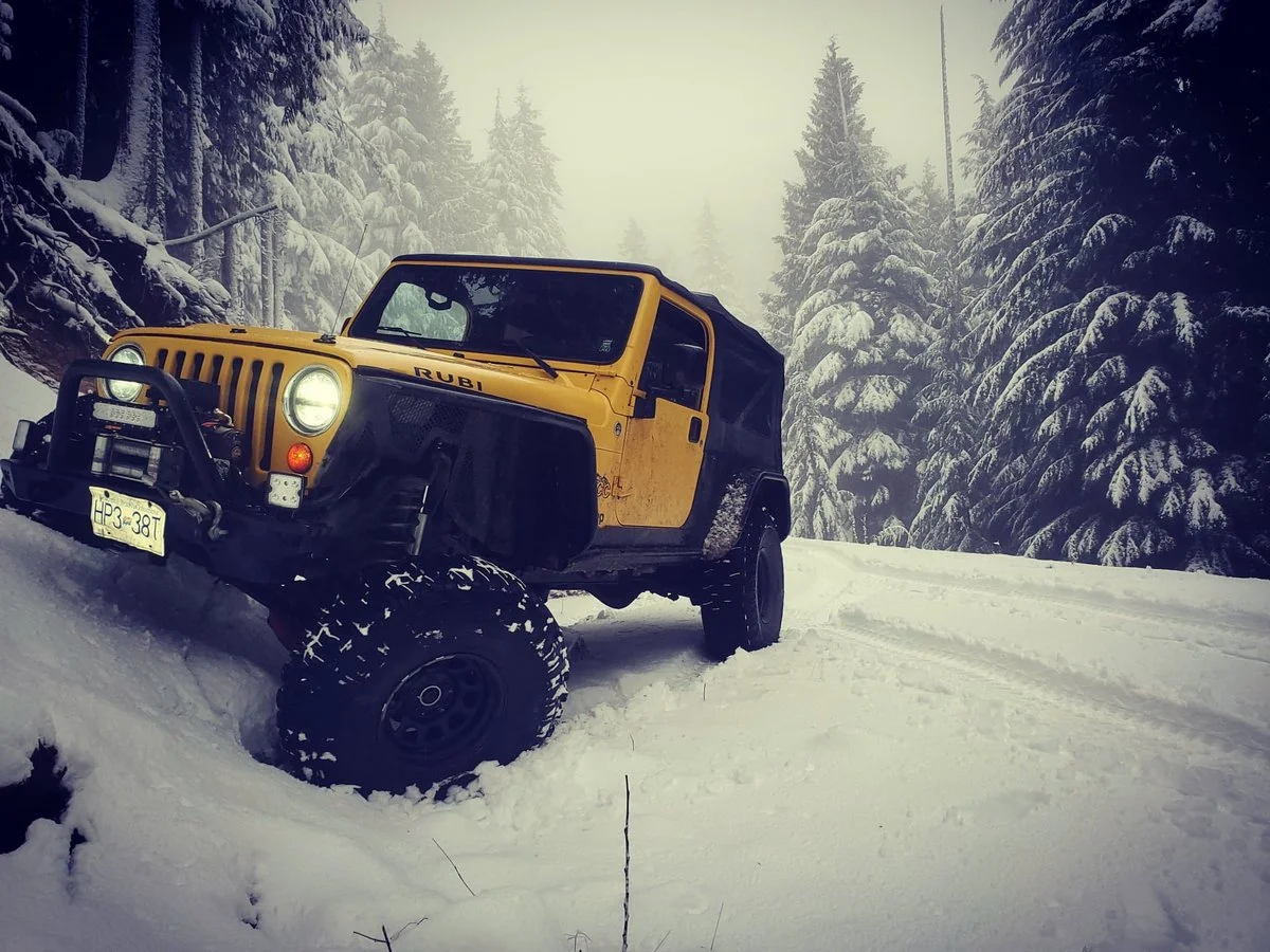 Snowflex.webp