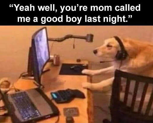 -social-media-computer-your-mom-called-me-good-boy.jpg