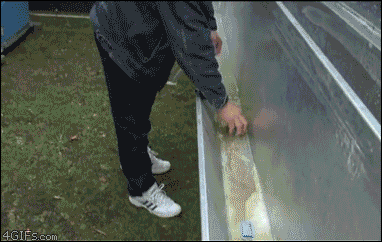 source.gif