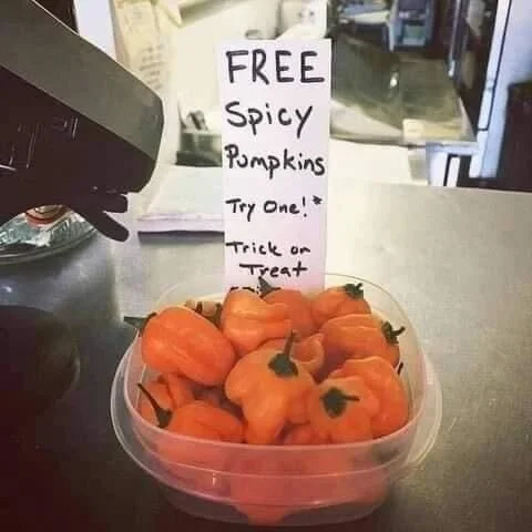 Spicy Pumpkins.webp