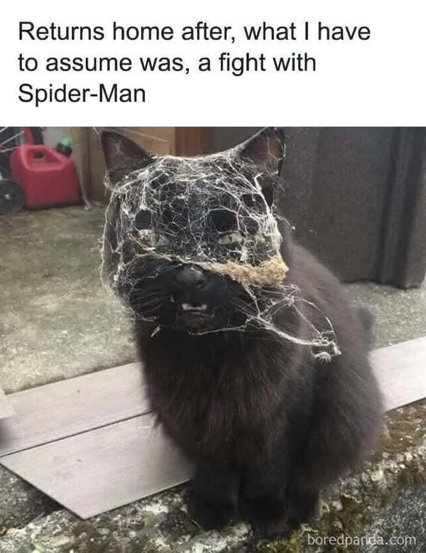 Spiderman.webp