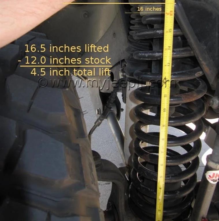 Spring height (2).webp