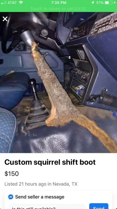 Squirrel Boot.webp