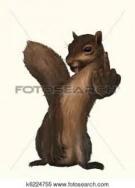 Squirrel.webp
