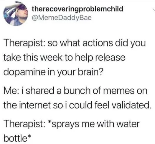 x therapist dopamine memes internet validation spray bottle