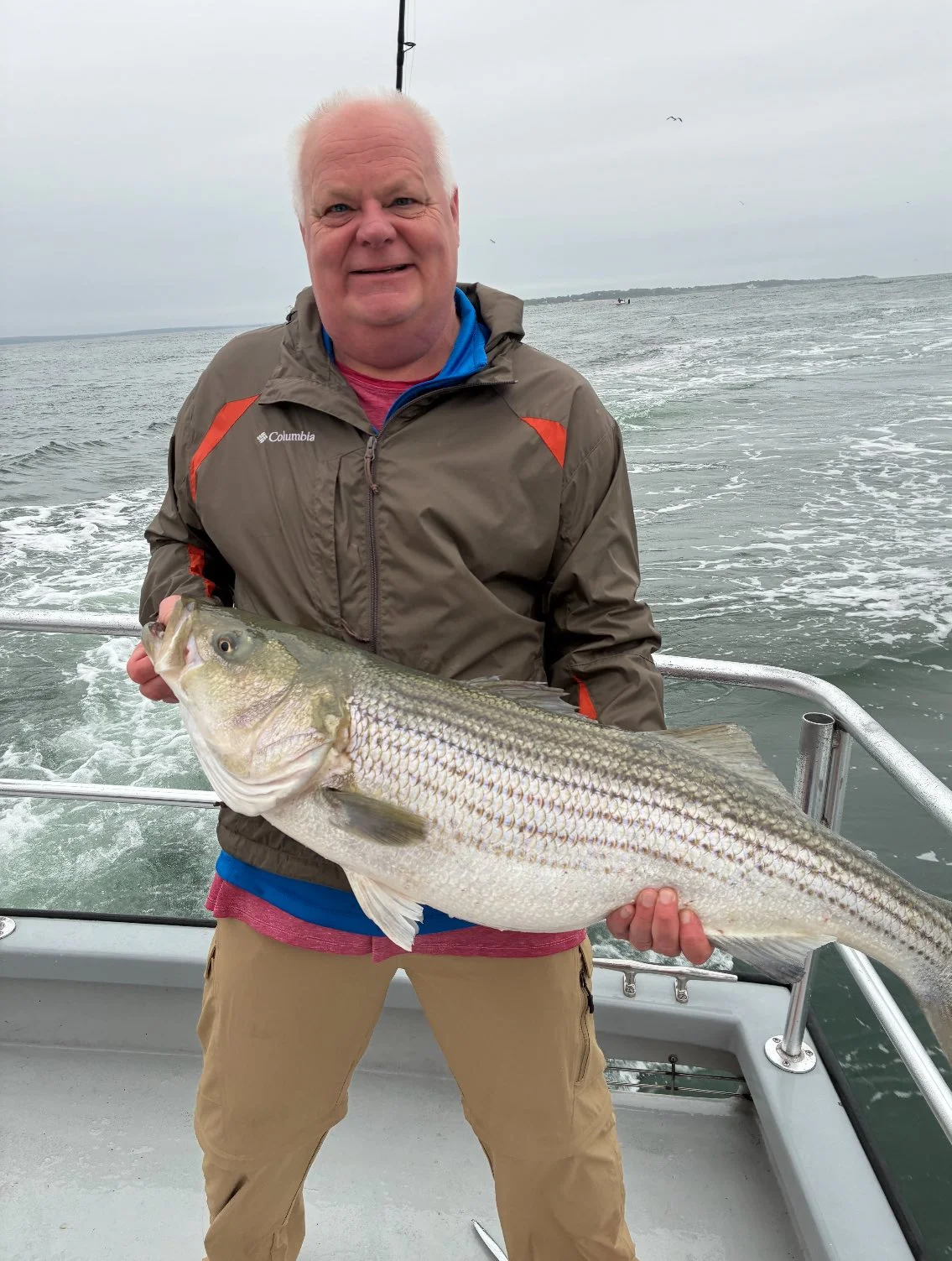 striper.webp