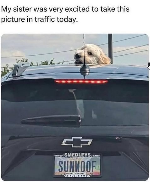 Sunwoof.jpg